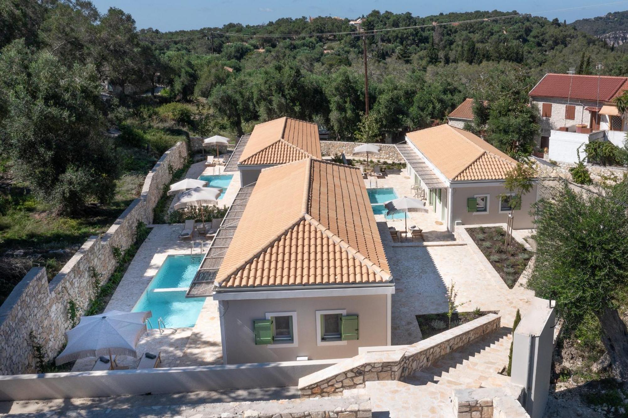 Uliveto Paxos * Velianitatika